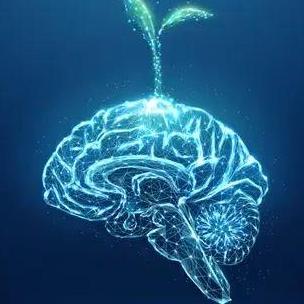 NeuroSurge Reviews