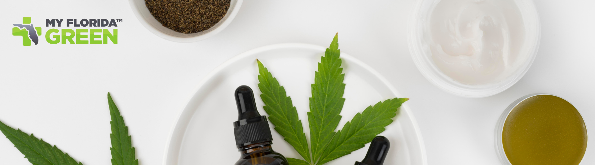 MyFlorida Green