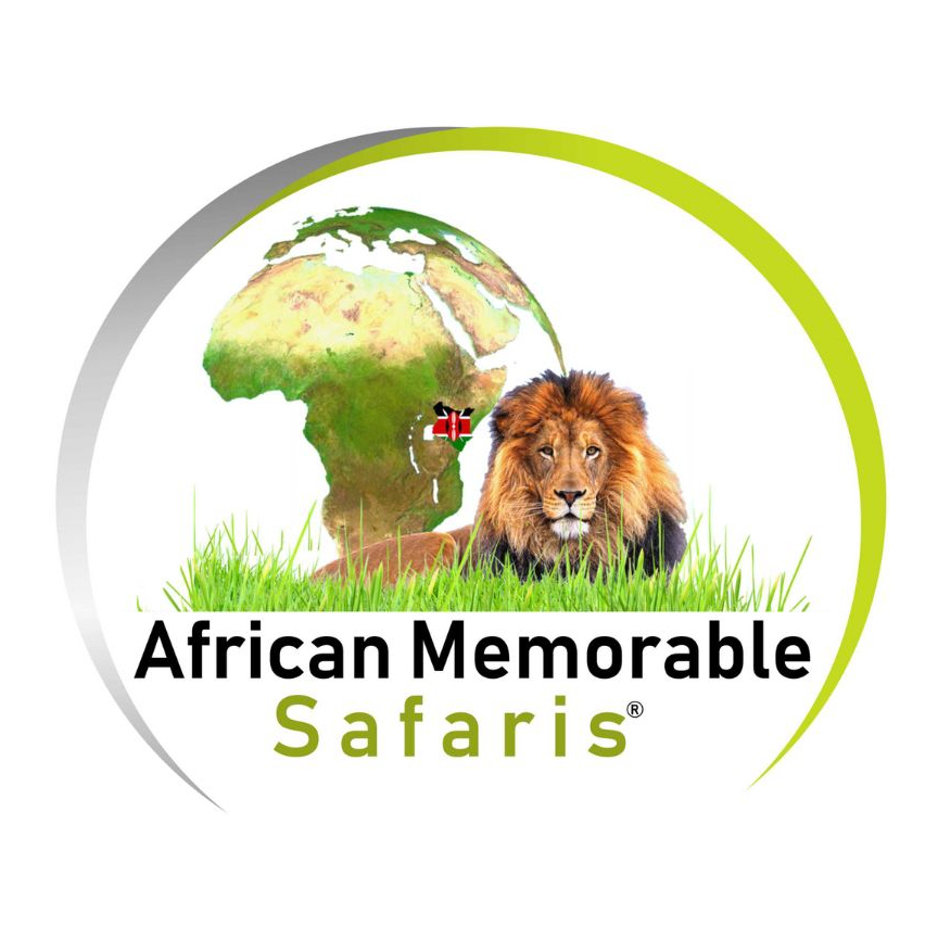 Memorable Safaris